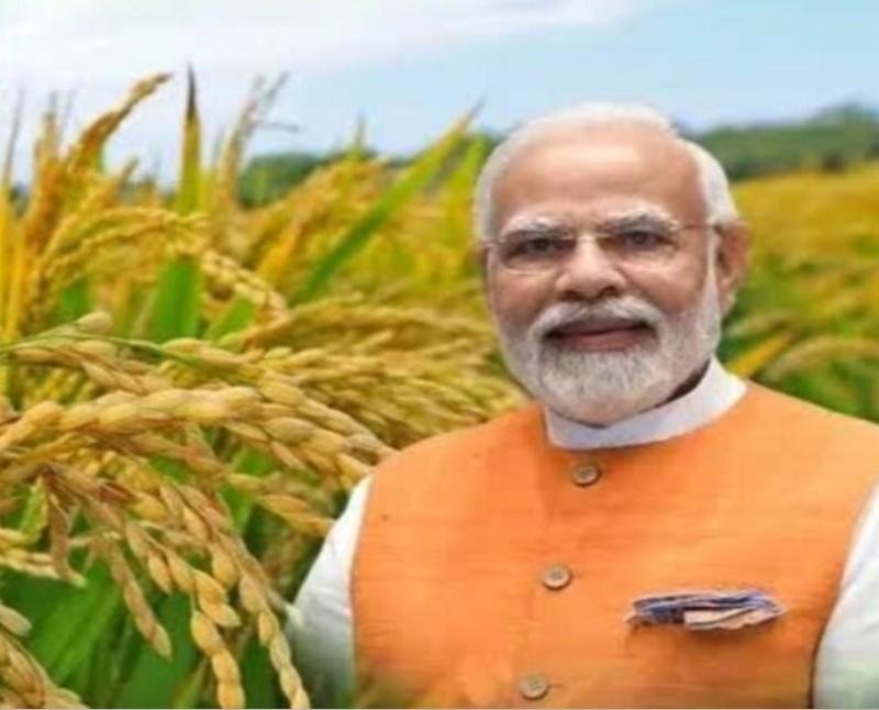Pradhan Mantri Fasal Bima Yojana: A Comprehensive Guide